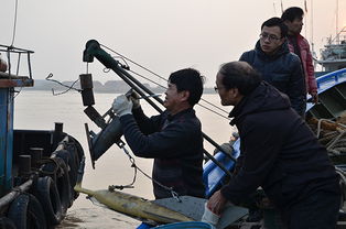直击盐城港射阳港区航道近海水文测验——记江苏省水文水资源勘测局盐城分局一线工作